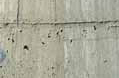 béton banché